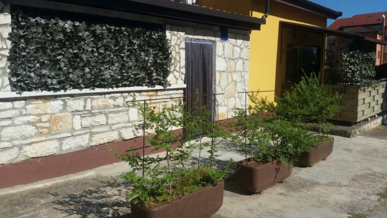Apartments Ingrid Novigrad  Ngoại thất bức ảnh